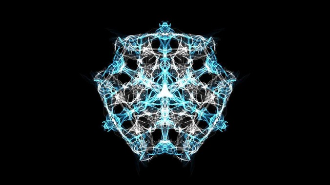 新手养鱼，养什么鱼好？